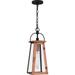 Quoizel Carolina 7 Inch 1 Light Mini Pendant - CLN1507AC