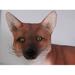 Loon Peak® Jamyra Red Fox Life Size Statue Resin in Brown/Red/White | 21 H x 38 W x 12 D in | Wayfair 8B4D24B4E8684B3EA419CD71CFA07763