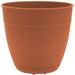 Bloem Dayton Planter With Saucer: 12 - Terra Cotta - 100% Recycled Plastic Pot Removable Saucer Elevated Feet For Indoor and Outdoor Use Gardening 3 Gallon Capacity