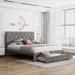 Grey，Beige Velvet Queen Size Storage Bed - Upholstered Platform Bed with Big Drawer, Elegant Design, Sturdy Construction