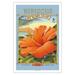 Hibiscus - Aloha Seeds - Big Island Seed Company - Big Island Color - Vintage Seed Packet by Kerne Erickson - Fine Art Matte Paper Print (Unframed) 30x44in