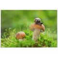 Coolnut Mushroom with Snail in Grass On Green Spring Forest Jigsaw Puzzles 1000 Pieces Puzzle for Adults Kids DIY Gift