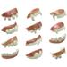 24pcs Funny Denture Model Cosplay Props Dentures Fake Teeth Prank Props Dress up Toys Spoof Tooth for Party (Random Pattern)
