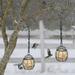 Teissuly Outdoor Birdcage Bird Feeder Spring Hanging Bird Feeder Garden Yard Feeder 2pcs