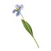 Duixinghas Artificial Tulips Artificial Flower Realistic Simulation Tulip Flower Faux Silk Flower Photography Props for Home Wedding Decoration Realistic Tulip