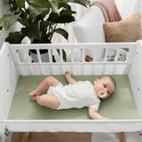 Comfy Cubs Fiited Sheets Cotton Blend Fitted Bassinet Sheet Cotton Blend in Green | Wayfair CC-373-SG