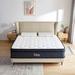 Full Memory Foam Mattress - Sofree Bedding Pocket Spring Hybrid | High Profile (12"),Full Wayfair SASHA-12F-1