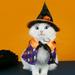 MeijuhugaF Pet Costume Cat Adjustable Buckle Hat Pumpkin Print Cape Create Atmosphere Cute Pet Transformation Outfit