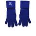 Burberry Accessories | Burberry Burberry Blue Cashmere Blend Gloves | Color: Blue | Size: Various