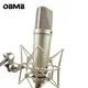 Microphone standard U87AI pour studio professionnel livraison gratuite