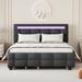 Queen Size LED Platform Bed with Trundle and drawer