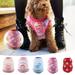 Jacenvly Pet Health And Wellness Products Clearance Cute Dog Puppy Clothing Sweater Small Puppy Shirt Soft Pet Red