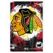 NHL Chicago Blackhawks - Maximalist Logo 23 Wall Poster 22.375 x 34 Framed