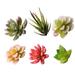 6 Pcs Simulated Succulent Plant Ornament Fake Plant Landscape Decors Ornaments for Home Office Garden Supplies