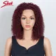 Perruque Bob Lace Front Wig Naturelle Indienne Cheveux Humains Ondulés à Reflets Support Bouclé