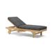 Capri Sun Lounger Adjusted Back & Side Tray