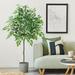 Primrue 63" Faux Ficus Plant in Plastic Pot Plastic in Black | 63 H x 6 W x 6 D in | Wayfair 7594FE38BBFE4A578FAF7707812390E7