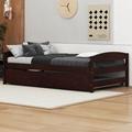 Wildon Home® Duoc Twin Size Platform Bed w/ Twin Size Trundle Wood in Brown | 22.1 H x 40.6 W x 77.4 D in | Wayfair