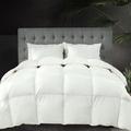 Alwyn Home Luxury 100% Organic All Season 750 Fill Power Goose Feathers Down Comforter Down & Feather Blend/Goose Down in White | Wayfair