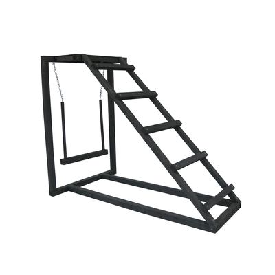 Zylina Play-N-Roost Roosting Ladder & Swing - N/A - 41x23x33