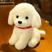 Lovely Curly Hair Teddy Dog Plush Toys Wears Collar Head Flower Teddy Dolls Stuffed Soft Toy Kids Birthday Gifts