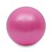 2Pcs Mini Exercise Balls - Professional Grade Anti Burst Heavy Duty and Slip Resistant Small Pilates Ball for Yoga Fitness Stability Barre Balance Training Physical 9-10 Inch (About 25cm)