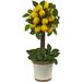 Nearly Natural Lemon Ball Arrangement Topiary Yellow 19.5 x 8.5 x 8.75 - 4865