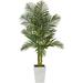Golden Cane Artificial Palm Tree In White Metal Planter