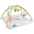 Fisher-Price Simply Senses Newborn Gym