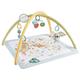 Fisher-Price Simply Senses Newborn Gym