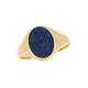 Goldring FIRETTI "Schmuck Geschenk Gold 585 Herrenring Edelstein Farbstein" Fingerringe Gr. 19, Gelbgold 585, goldfarben (gelbgoldfarben, blau, blau) Herren Goldringe