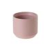 AllModern Parsons Ceramic Pot Planter Ceramic in Pink | 2.75 H x 3.25 W x 3.25 D in | Wayfair FB1354622A2D4A9DBB7EFE40544D5192