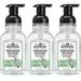 J.R. Watkins Foaming Hand Soap Pump with Dispenser Moisturizing All Natural Hand Soap Foam Alcohol-Free Cruelty-Free USA Made Use as Kitchen or Bathroom Soap Vanilla Mint 9 fl oz 3 Pack
