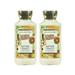 Bath & Body Works Body Lotion Pack of 2 8oz Each (Golden Sunflower)