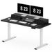 FlexiSpot 48"x24"/55"x24" Ergonomic Height Adjustable Standing Desk with 2 Drawers, Monitor Stand Computer Desk