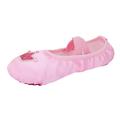 Children Dance Shoes Ballet Dance Shoes Body Training Shoes Satin Embroidered Yoga Shoes