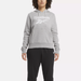 Women's Reebok Identity Big Logo Fleece Hoodie in Grey