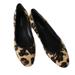 Nine West Shoes | Nine West, Women's 8m Animal Print Leather On Fur Low Kitten Heal Flat Shoes Euc | Color: Black/Tan | Size: 8