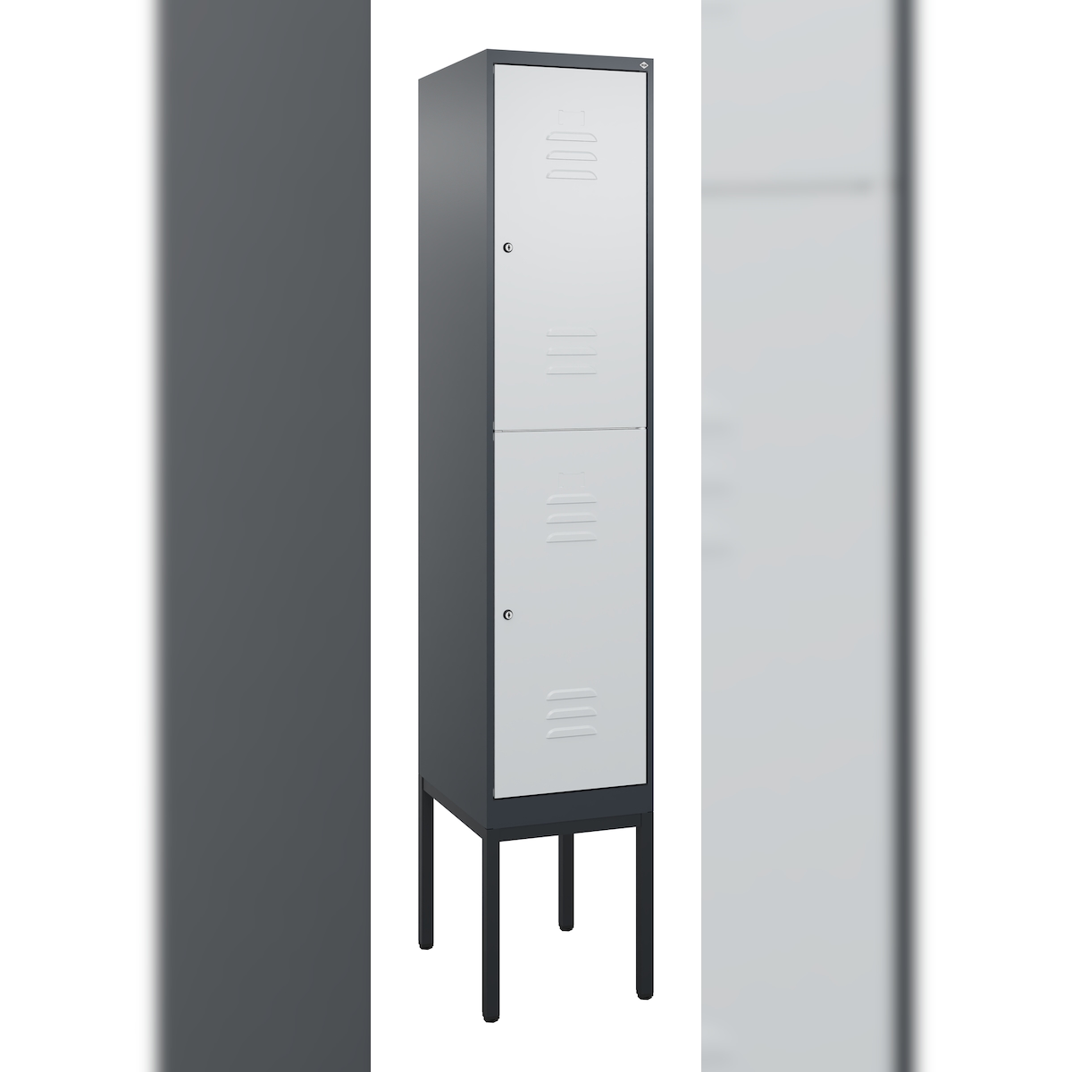 C+P Spind Classic PLUS, Gestell, 2 Abteile, HxBxT 212x40x50cm, Zylinderschloss, Anthrazit/Hellgrau von PROREGAL Image