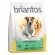 Offre d'essai : croquettes Briantos 1 kg pour chien - Adult Mini agneau, riz