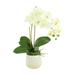 Orchid Arrangement in a Ceramic Vase with Orchid Leaves - White, Cream, Green