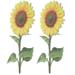 2 Pcs Emblems Sunflowers Gifts Outdoor Flower Decor Outdoor Decor Lawn Ornament Sunflower Garden Stake Sunflower Card Decorate Acrylic