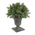 National Tree Company 24 CrestwoodÂ® Spruce Porch Bush with TwinklyÃ¢â€žÂ¢ LED Lights