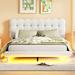 Ivy Bronx Ishmil Platform Storage Bed Upholstered/Velvet in Brown | 40 H x 67 W x 85.8 D in | Wayfair E9C134074BB04A0CA12242D3615B2FE4