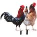 2 Pcs Decorative Garden Inserts Emblems Hen Shaped Stake Garden Hen Stake Acrylic Rooster Stake Garden Decoration