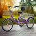 Dextrus Adult Tricycle 24 Inch 3 Wheel Bikes 7 Speed Trike Bike with Shimano Shifting for Adults Cruiser Bike for Seniors Women Men Shopping Picnic Outdoor Sports Purple