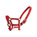 Guardung Padded Halter Pony Bridle Head Collar Great Resilience Protective Gear Horse Supplies Solidness Headstall Racing Saddle Pad Red XS