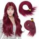 Jreitsere 100G/Pack I Tip Hair Extensions #99j Burgundy 100S I Tips Real Hair Extension Pre Bonded Itips Human Hair Extensions Itip Remy Hair Extensions 24 Inch(1g/Strand, 100g)