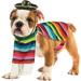 Skeleteen Mexican Serape Dog Costume - Cinco de Mayo Poncho and Sombrero Costumes for Pets (Size M) - Small Breeds Multicolored