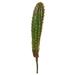 Nearly Natural 16 Cactus Artificial Plant (Set of 6)